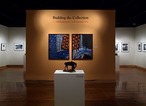 Recent Acquisitions and Promised Gifts